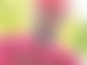 Celebrating The Life of Shawn "ST" Thomas