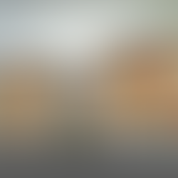 A Bold Step Towards Gentrification Mitigation in Rainier Beach:Grand Opening of the Elizabeth Thoma