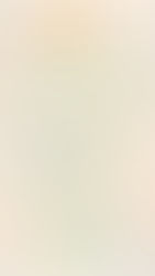 CDCPDA Celebrates 100 Years of Rev. Dr. Samuel B. McKinney’s Legacy with Springing Forward: Brunch for Black Economic Brilliance