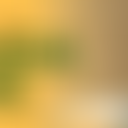 Dear King County District 2 Resident,