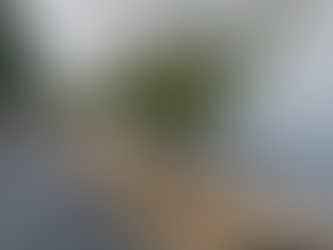 Input Needed to Calm Traffic and Enhance Safety on Lake Washington Boulevard