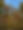 IMG_2698.jpeg
