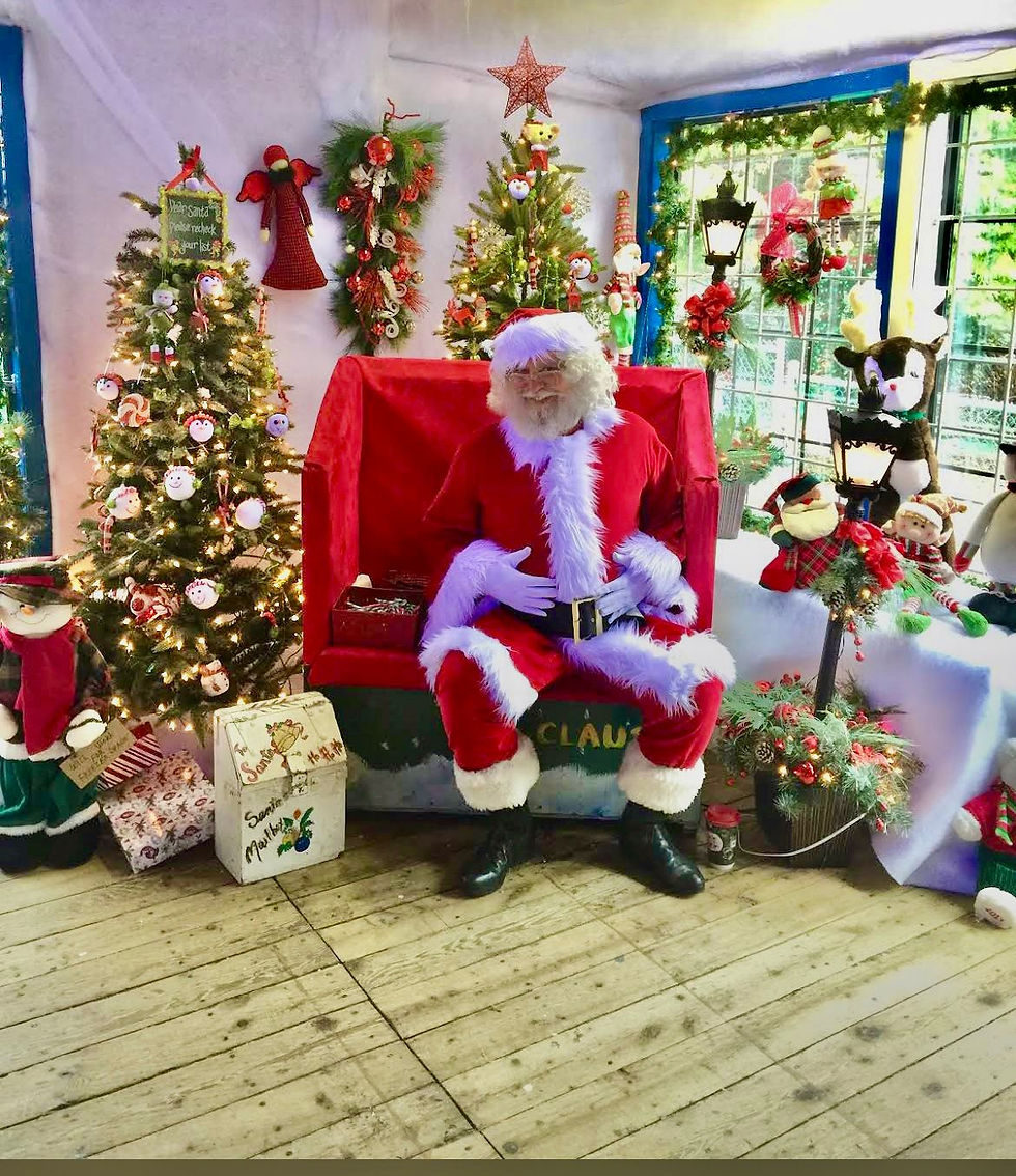 Christmas Night Train 1st -31st December