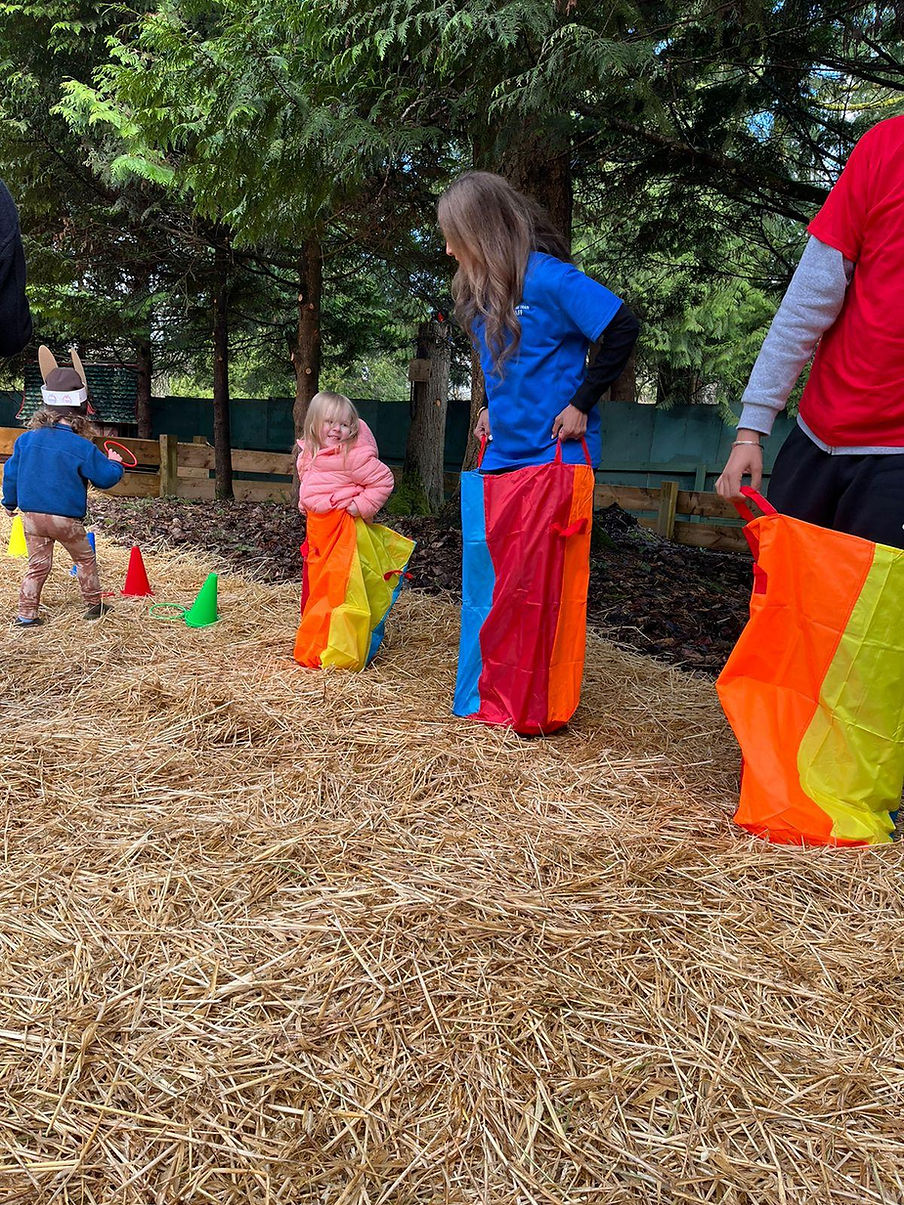 WhatsApp Image 2025-01-31 at 09.26.21_803d329c.jpg