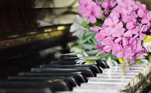 istockphoto-482611874-612x612.jpg