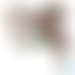 It’s all in the hips…. By Liana McMorrow