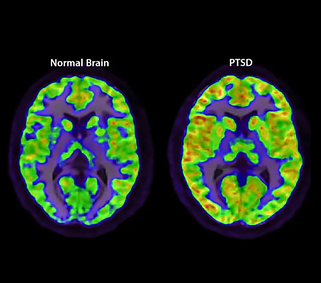 Quotes Daily Facebook Post (5).png