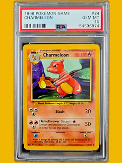Graded Pokemon Cards | Animation America Vintage Animation Art and Cels Graded Pokemon Cards | Animation America Vintage Animation Art and Cels