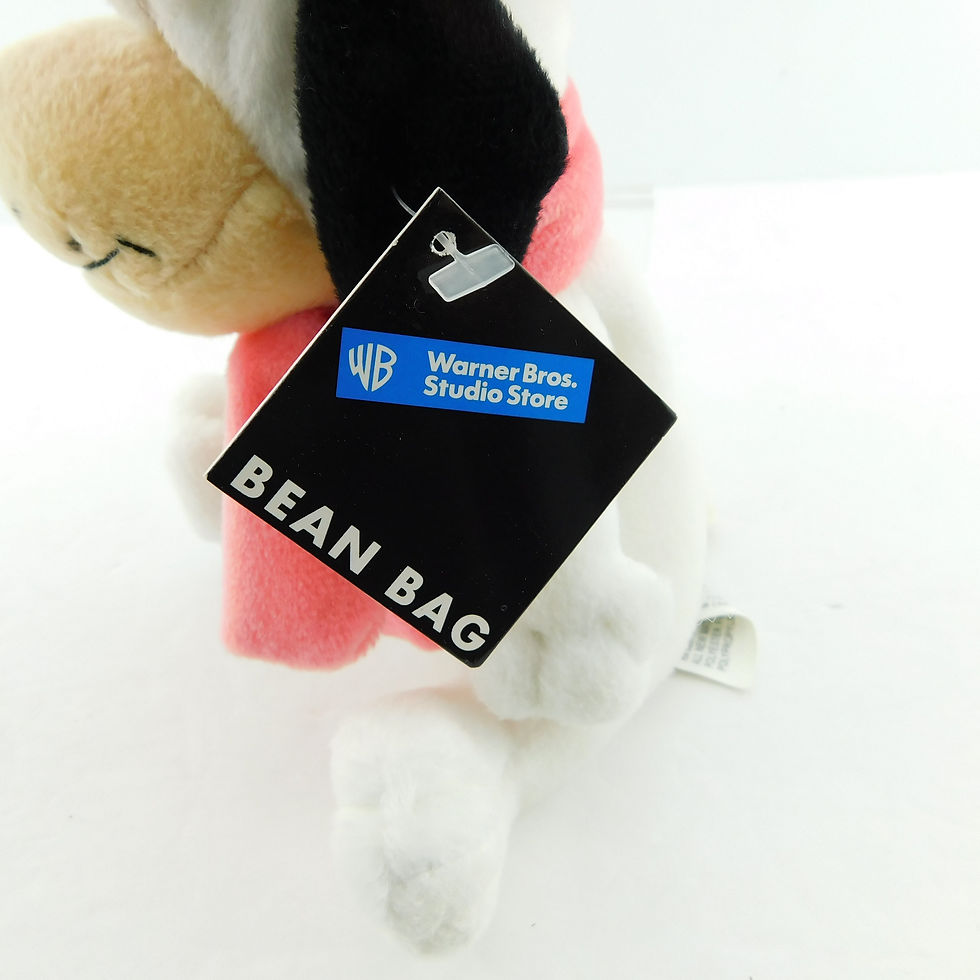 Thumbnail: DUM DUM Hanna Barbera Touche Turtle Warner Bros. Bean Bag Plush