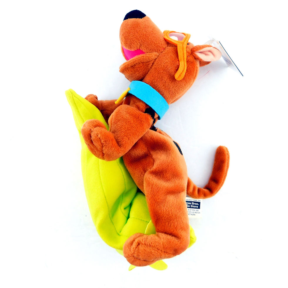 SCOOBY DOO Surfer Warner Bros Store Limited Bean Bag Plush