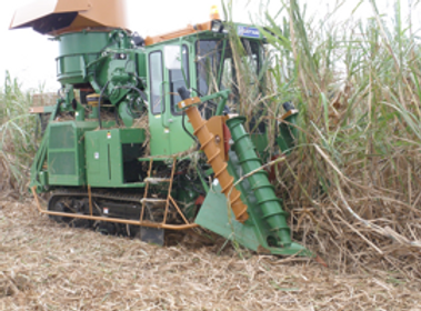 サトウキビ収穫機導入に向けた案件化調査 Jditokyo サトウキビ収穫機導入に向けた案件化調査 Jditokyo