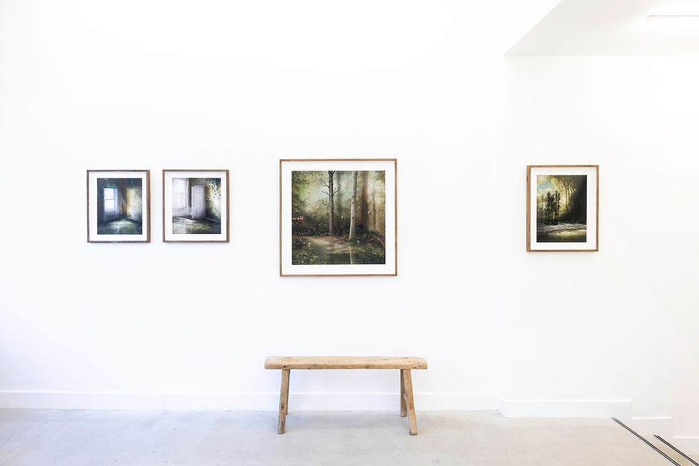 Thumbnail: Installation view of four framed artworks by Suzanne Moxhay including The Flood artwork