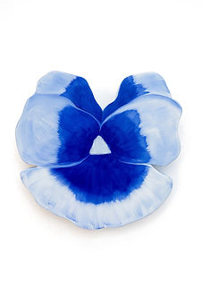 Pansy II by Georgia Beaumont