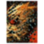 Découper à vif dans la couleur, magasine découpé sur papier, 14,8 x 21cm, 2024