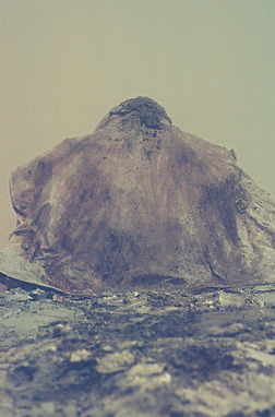 Spleeniiiii_LT_Photos_Edited_July26 - 1.jpeg