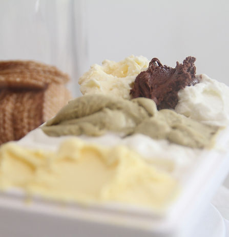 vaschetta multigusto gelato.JPG