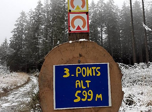 131297910_221547019408483_5974684977159559564_n_edited.jpg