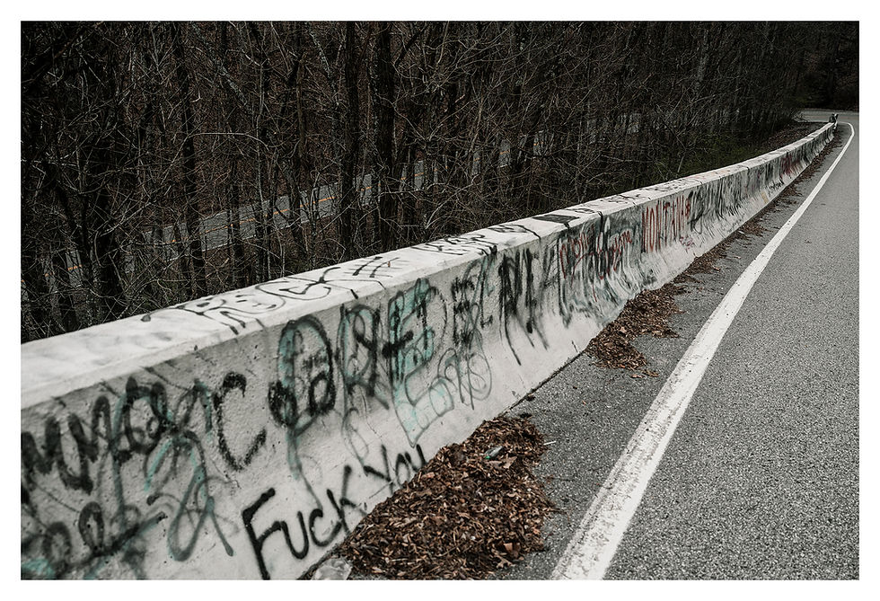 Thumbnail: Postcard Bundle - Barkley Marathons 2025
