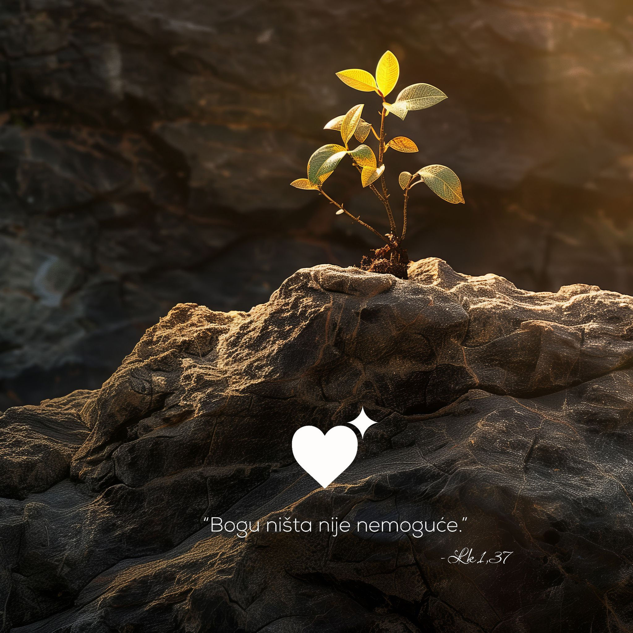 007. Bogu ništa nije nemoguće