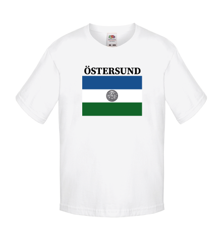 Miniatyrbild: T-shirt Jämtlandsflagga med Ortsnamn