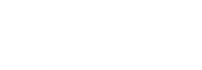 birgerbutiken-logo.png