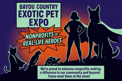 NonProfitComicStyle1