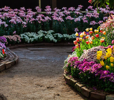 flower.jpg
