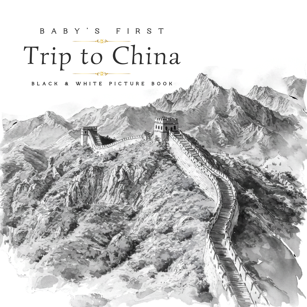 babys first Trip to China book B_W(6 x 6 in).png