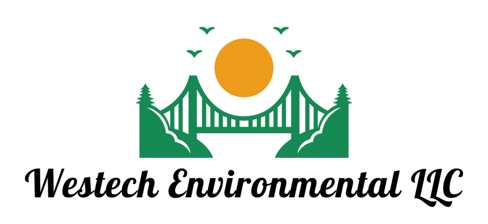 logo (2).png