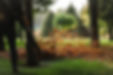 imgi_31_woman-operating-heavy-duty-leaf-blower_1153-7322.jpg
