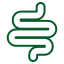 intestines.png
