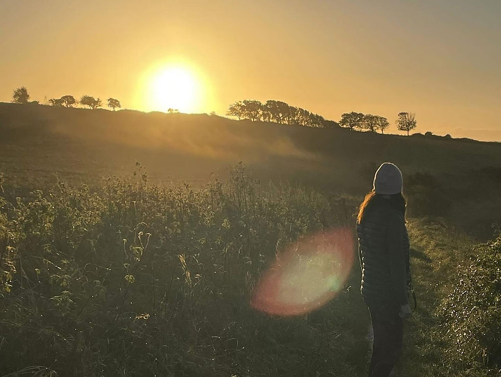 "Sunrise over the Sussex countryside, symbolising stillness and new beginnings"