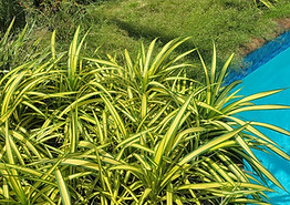 Perks landscaping _20241006_131556_0000_