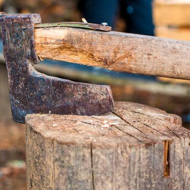 yard stump removal Lake Havasu City AZ
