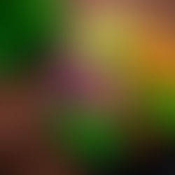 ¿Los planes de Medicare Advantage en Puerto Rico incluyen entrega de comidas?