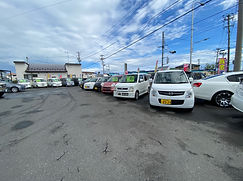 IMG_2117.jpg