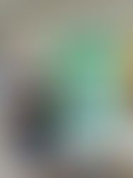 We talked about Oligocene seeds...