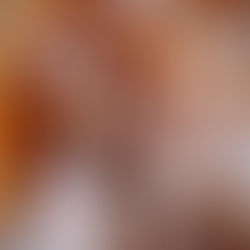 CALAMARS À L’ANDALOUSE