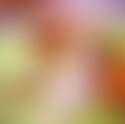 LONGE DE VEAU, LÉGUMES RÔTIS, SAUCE POIVRE VERT