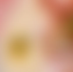 CRÈME PARMENTIER AU PARMESAN – CALAMARS PLANCHA – SAUCE VERTE