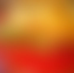 PITHIVIERS DE CONFIT DE POULET, FÈVES, PETITS POIS, CHAMPIGNON