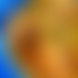 POULET « AL AJILLO »