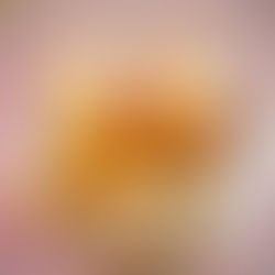 DÉCLINAISON DE CREVETTES