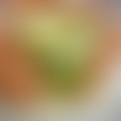 PUITS DE CREVETTES AGRUMES AVOCATS