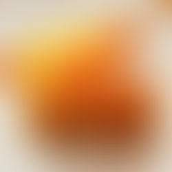 CROUSTILLANT DE CONFIT DE CANARD