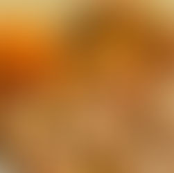 CHAMPIGNONS, SAINT JACQUES, BOUDIN