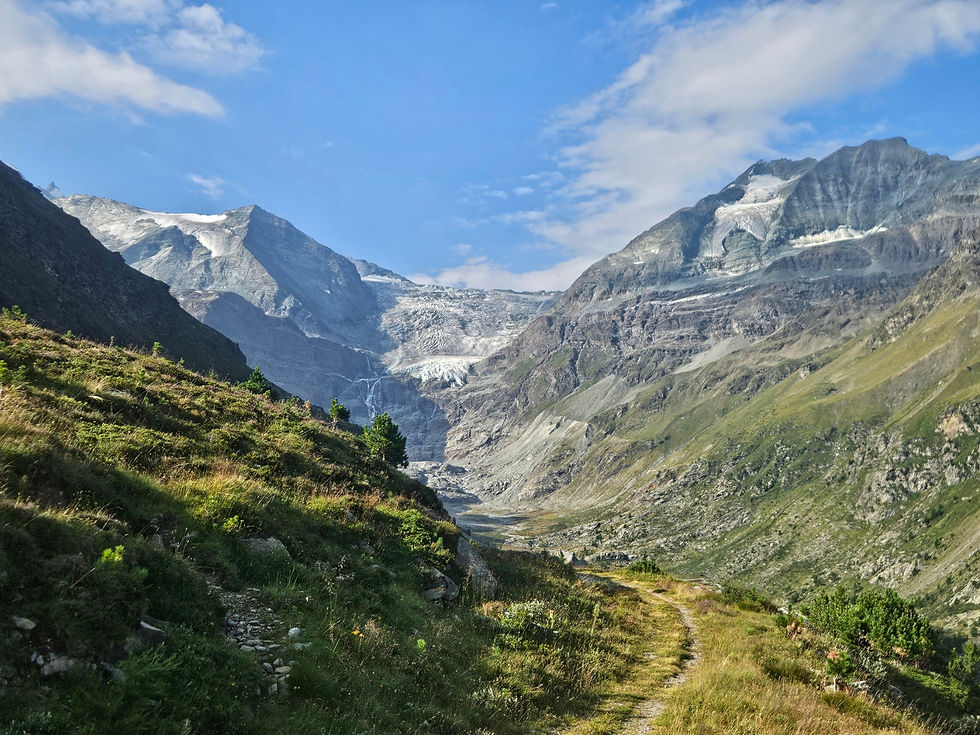 Turtmann peaks recede