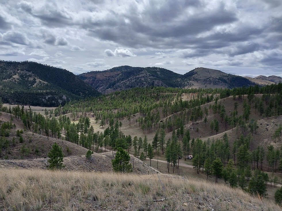 Would You Do It Again?