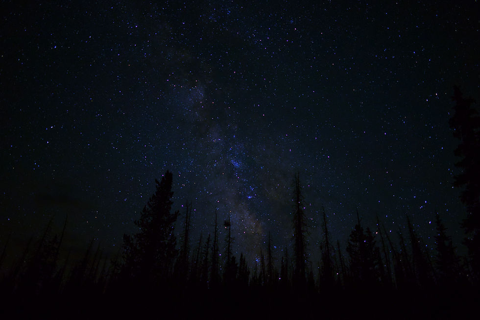 The milky way shines brightly above the trees._edited.jpg