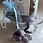 Miniatura: Tea Sets for the Chakras; Anja & Third Eye Chakras